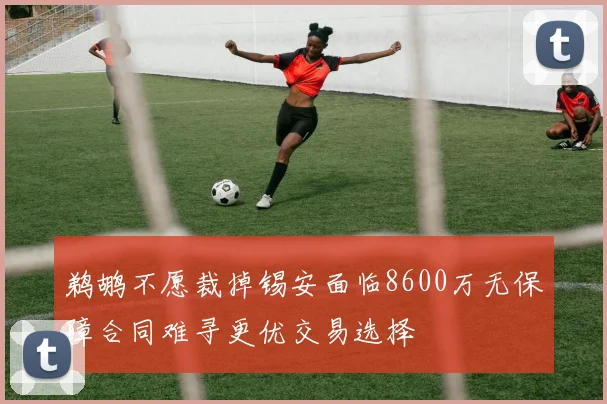 鹈鹕不愿裁掉锡安面临8600万无保障合同难寻更优交易选择