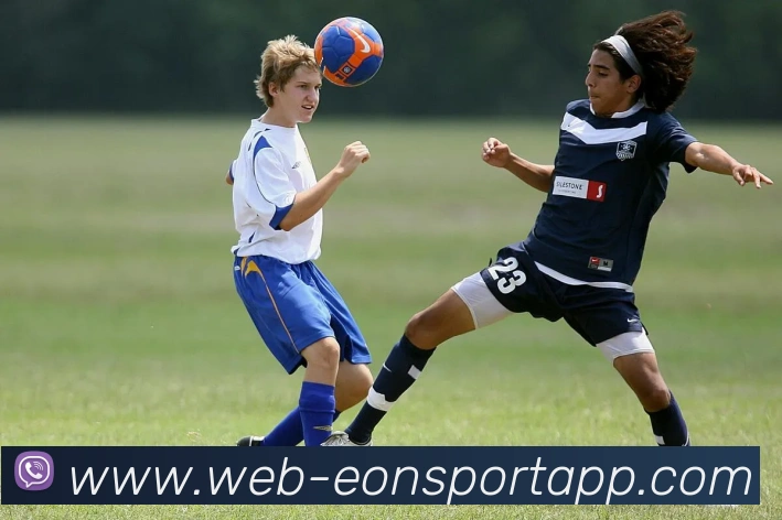 意昂体育服务体系