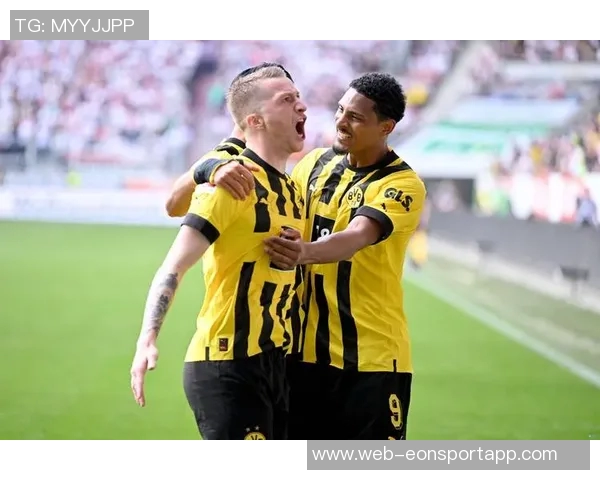 罗伊斯力挺布兰特留队多特未来合作前景可期 罗伊斯力挺布兰特留队多特未来合作前景可期